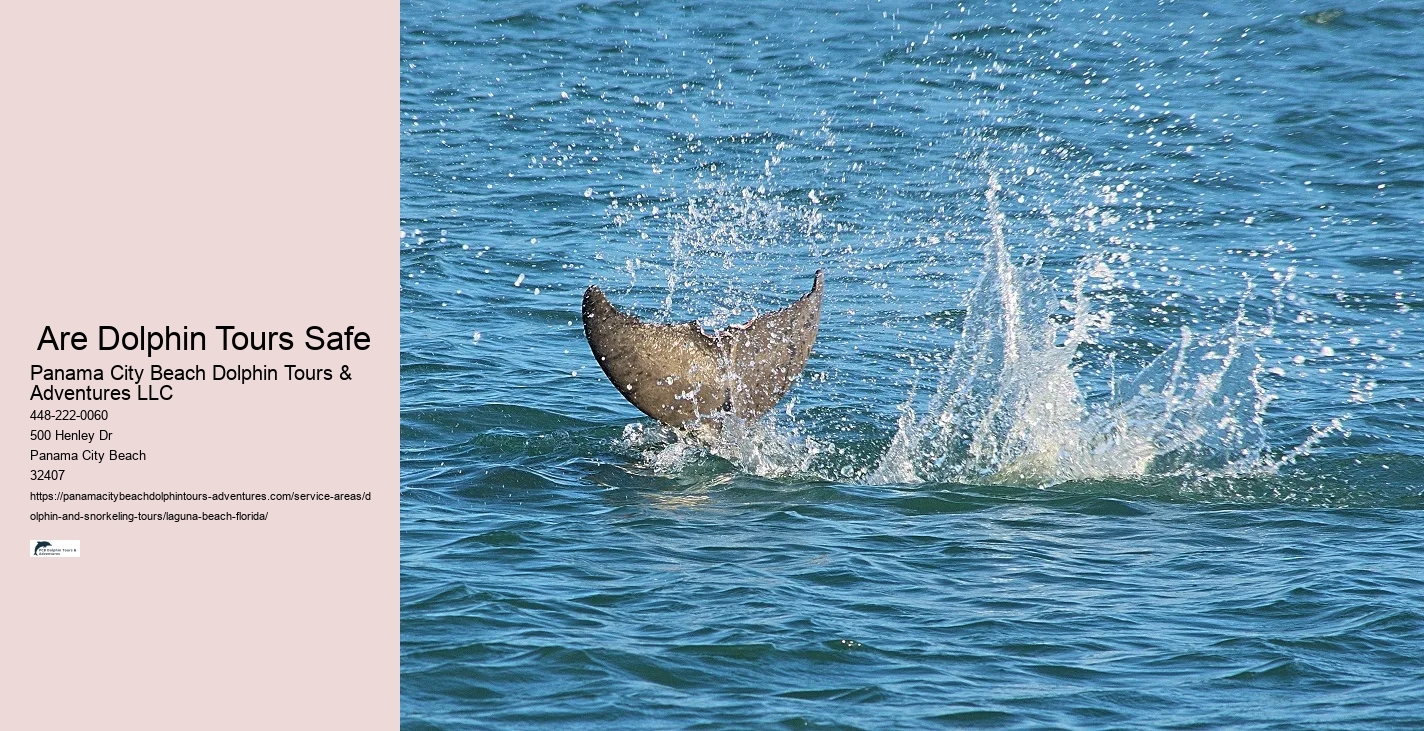 Are Dolphin Cruises Safe