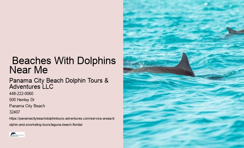 Dolphin Tour And Snorkeling Near Me