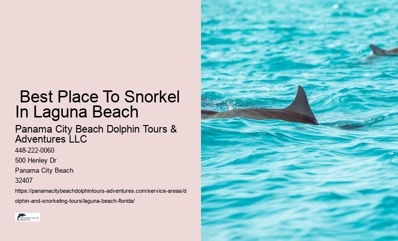 Dolphin And Snorkeling Tour