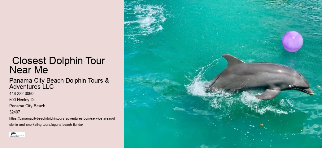 Snorkeling Boat Tours Near Me