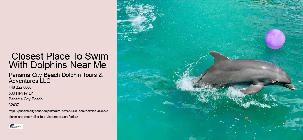 Dolphins