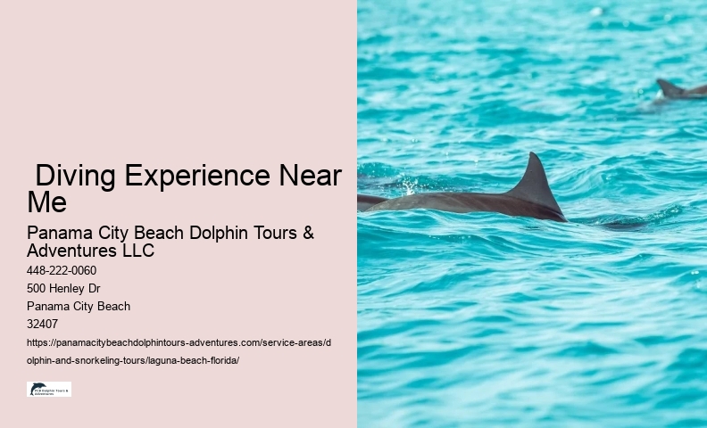 Is it legal to swim with wild dolphins in Florida