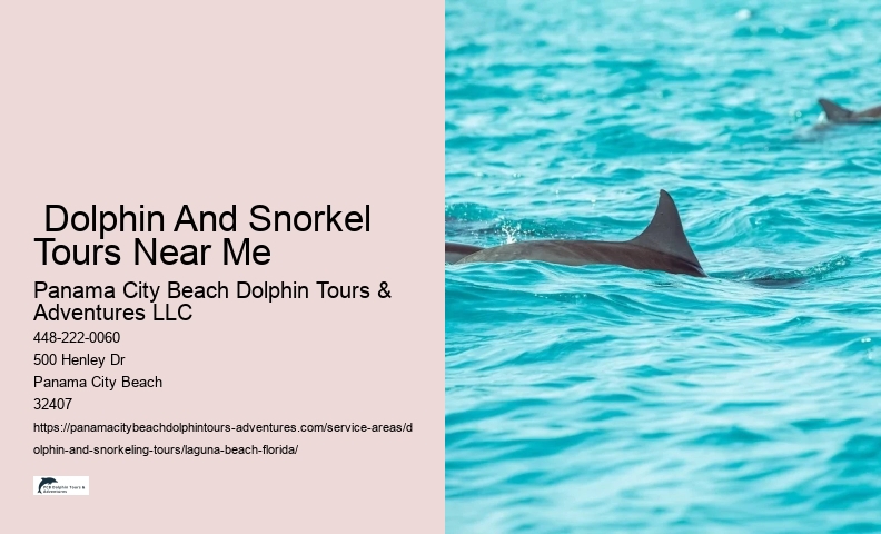 Snorkeling And Dolphin Tour
