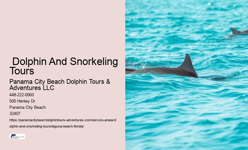 Dolphin Watching