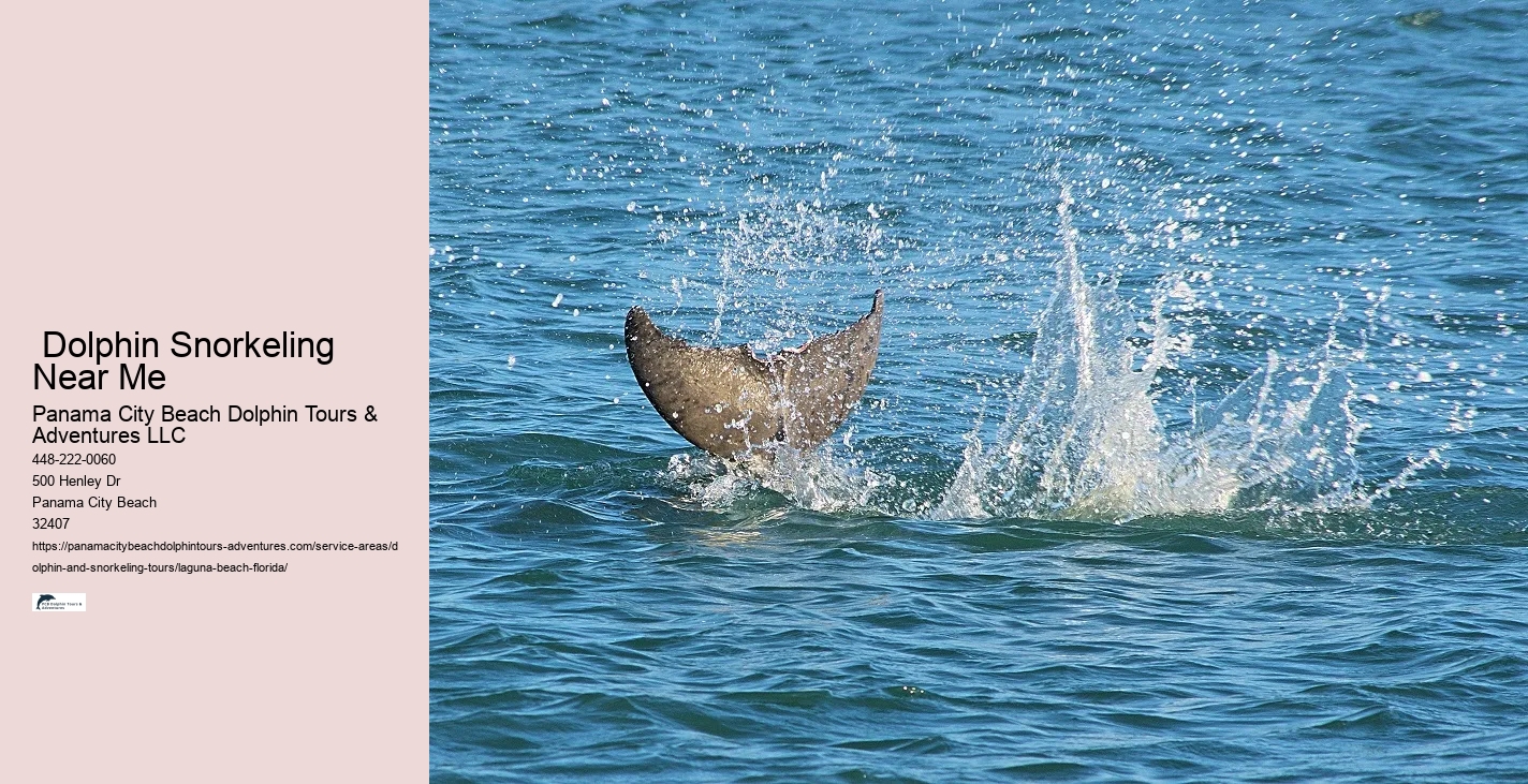 Sunset Dolphin Tours Near Me
