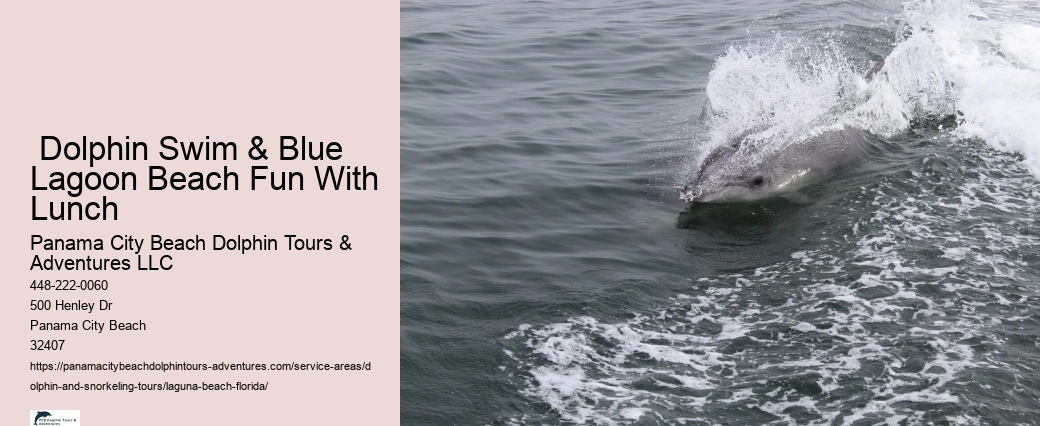 Private Dolphin Tours Panama City Beach