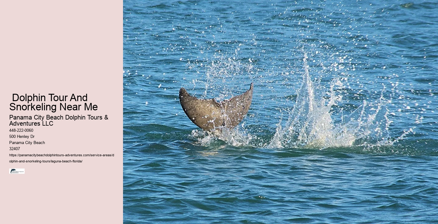 Dolphin And Shelling Tours Near Me