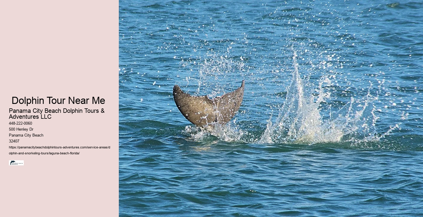 2 Hour Dolphin Cruise