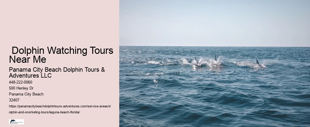 Free Dolphin Tours Near Me