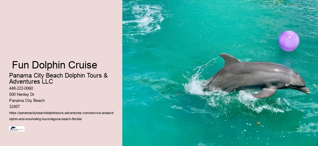 What safety precautions should be considered when taking children on dolphin and snorkeling tours in the Gulf of Mexico