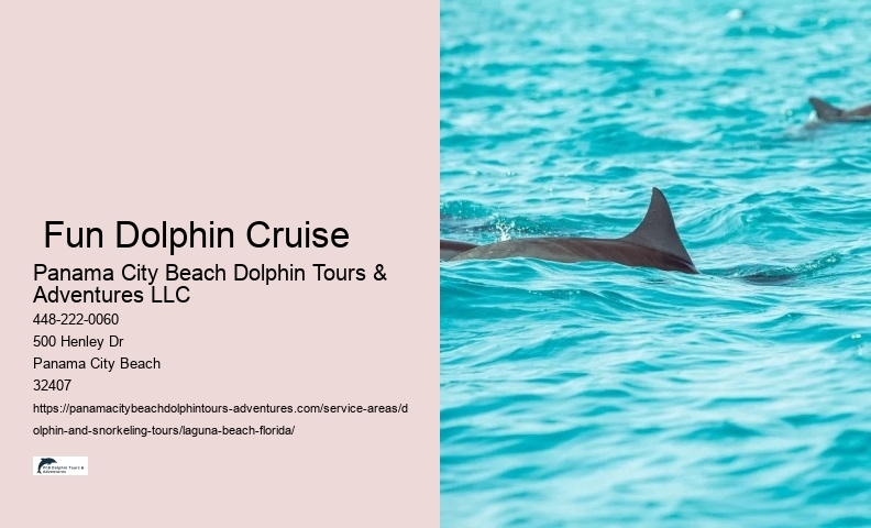  Fun Dolphin Cruise