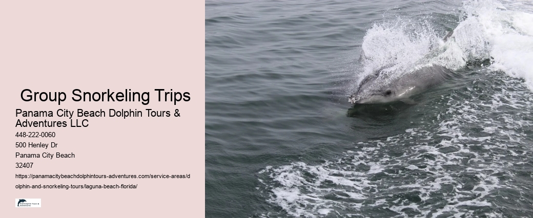 Boat Tours