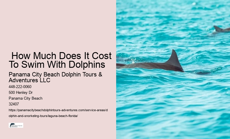Snorkeling And Dolphin Tour
