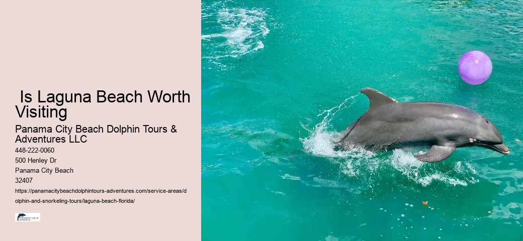 Catamaran Snorkel And Dolphin Watch Tour In Panama City Beach