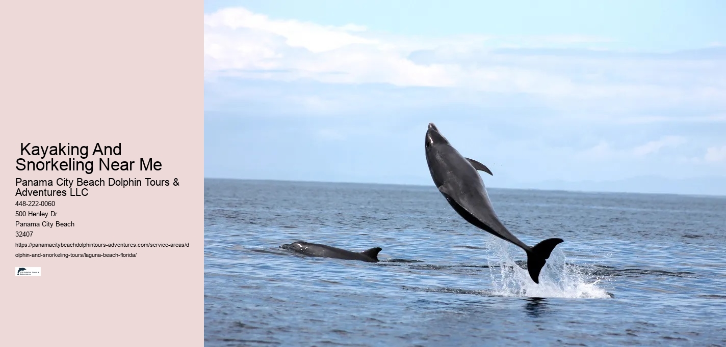 Dolphin Watching Cruise Near Me