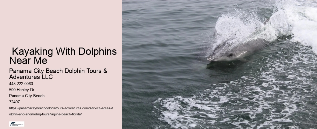 2 Hour Dolphin Cruise