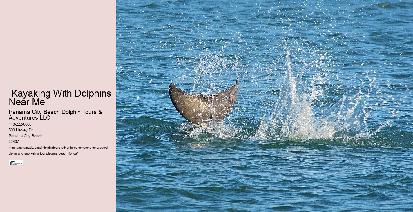 Wild Dolphins