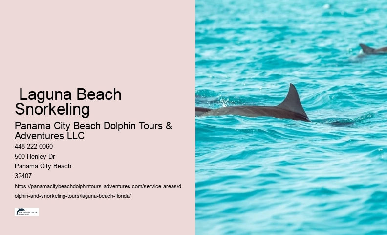 Snorkeling With Dolphins Near Me