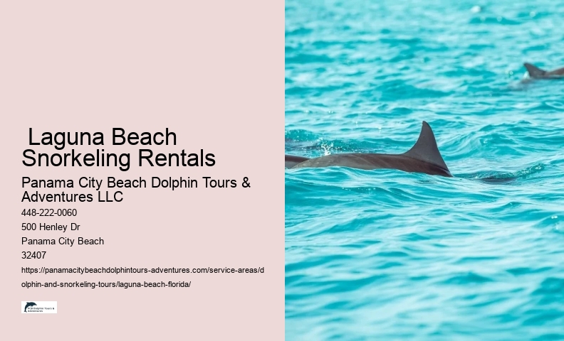 What time of day is best for dolphin encounter