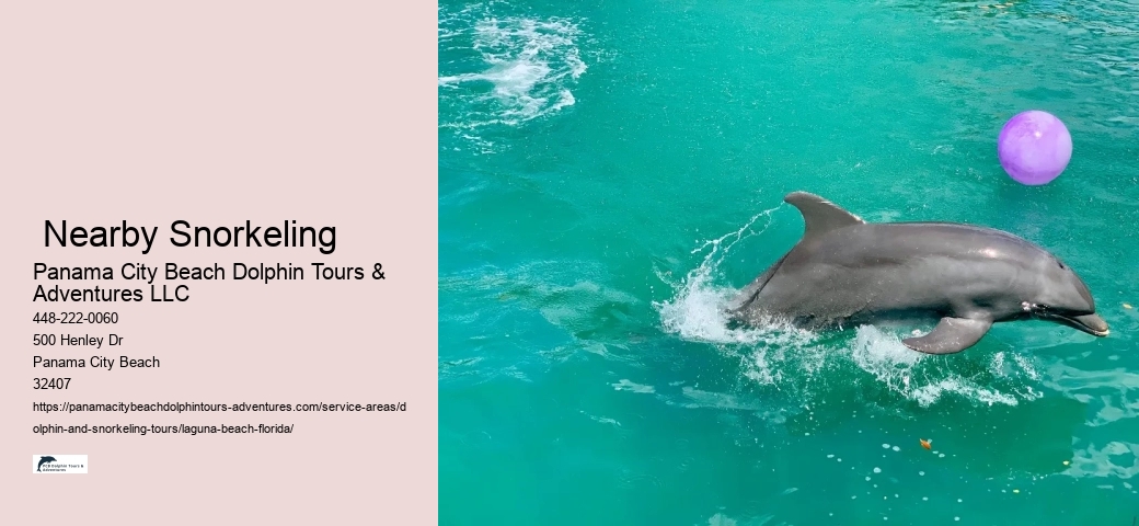 Snorkeling Tours Near Me