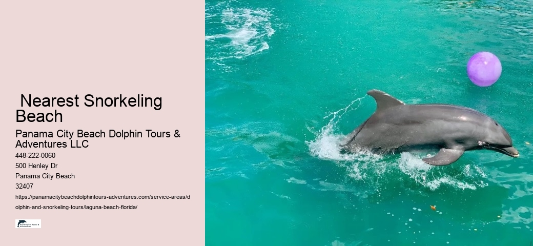  Nearest Snorkeling Beach