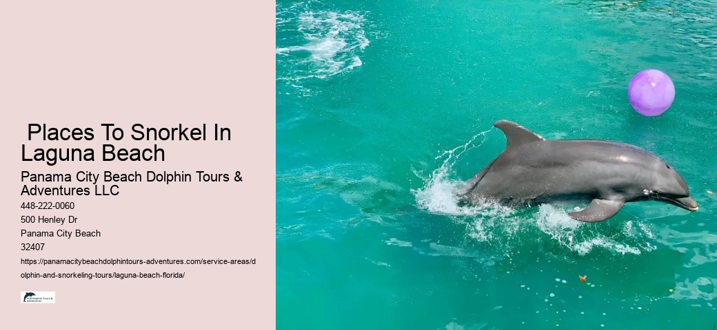 Snorkeling Tours Florida