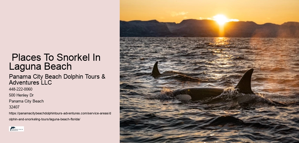 Snorkeling Boat Tours Big Island