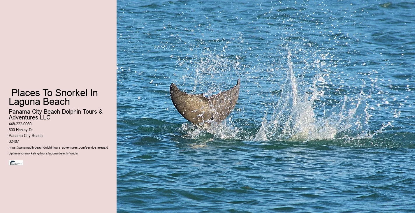 Marine Mammals