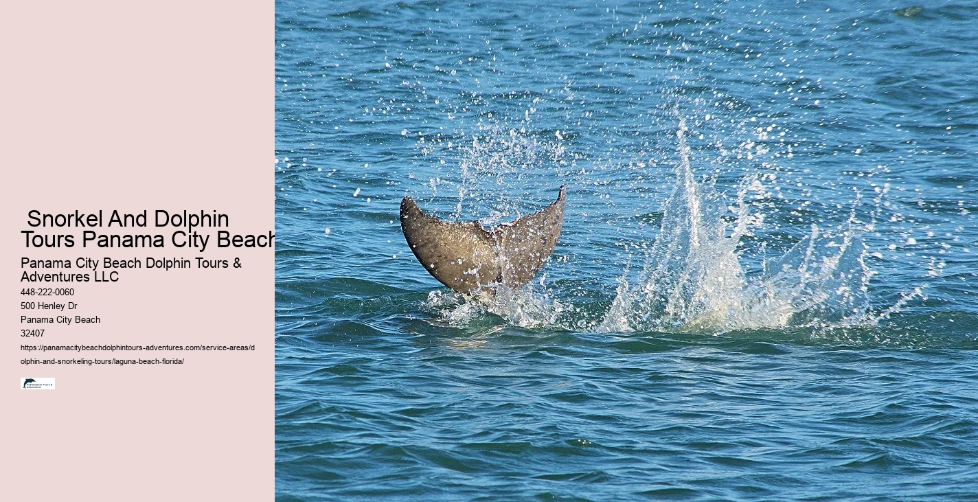 Swim With The Dolphins Near Me