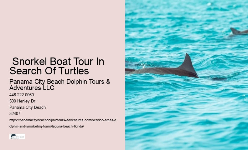 Tours Laguna