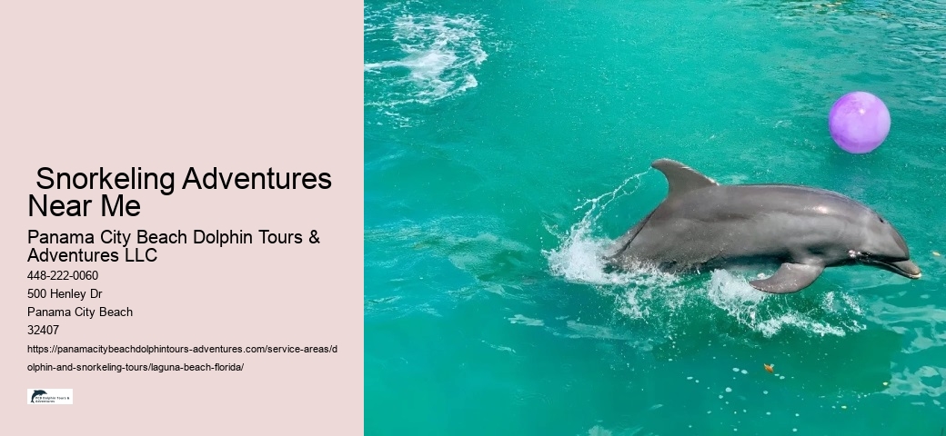  Snorkeling Adventures Near Me