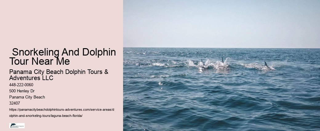 Dolphin Tour Near Me