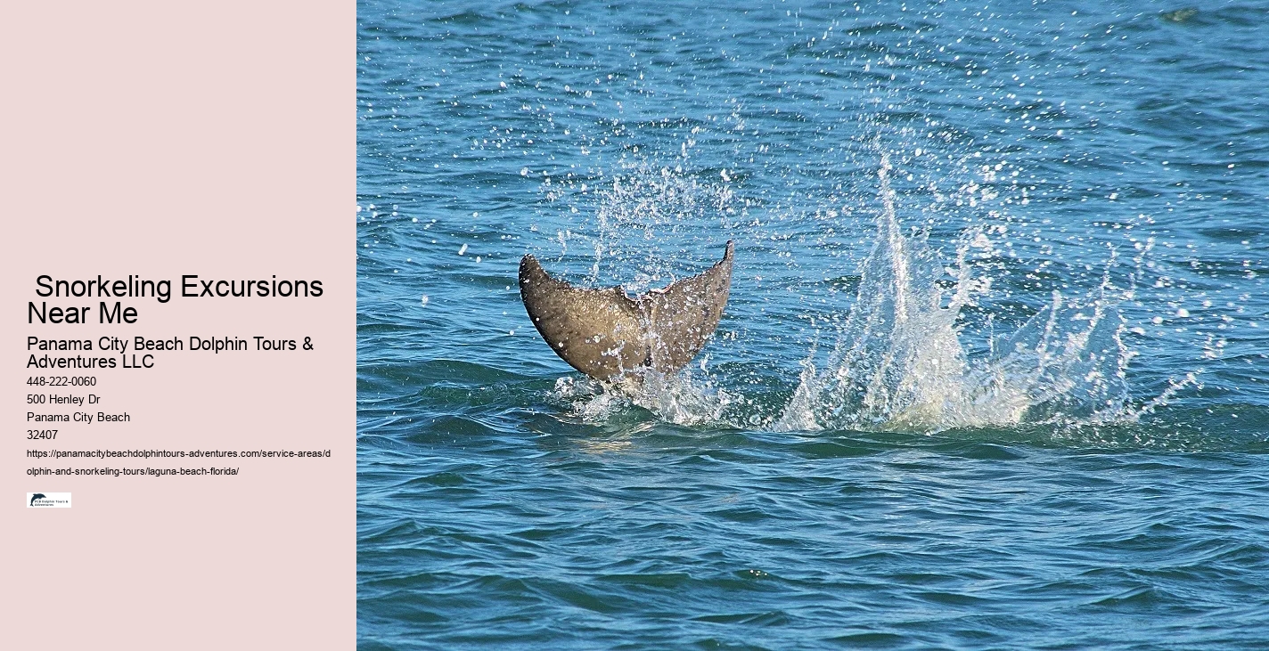 Blue Dolphin Tours