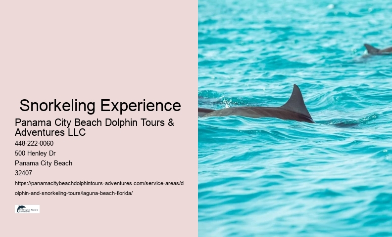 Snorkeling Deals Near Me