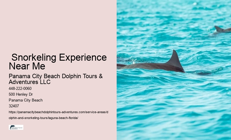 Swim With Dolphins Near Me