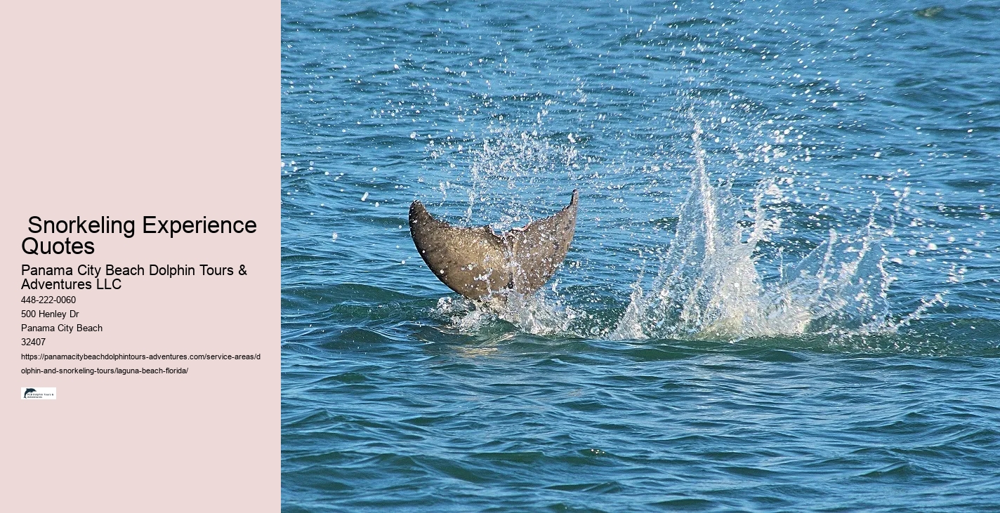 Dolphin Watching Boat Tour Near Me