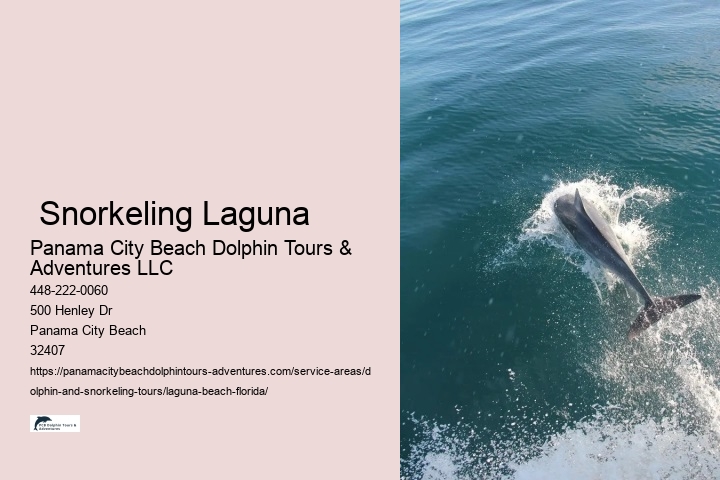  Snorkeling Laguna