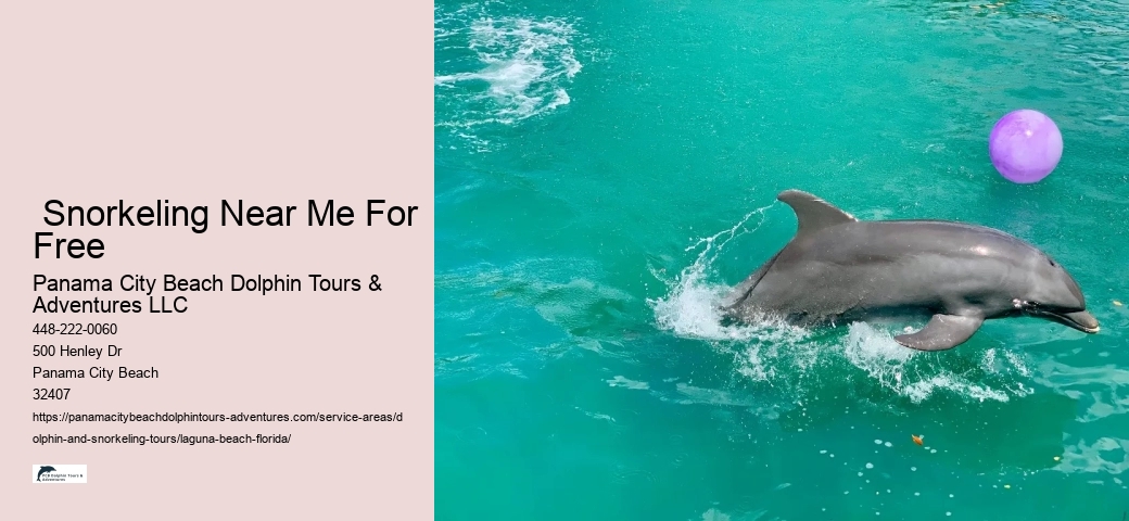 Is it ever OK to swim with dolphins