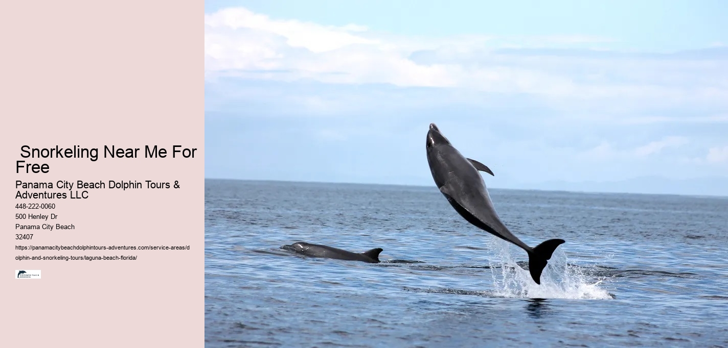 Coastal Wildlife