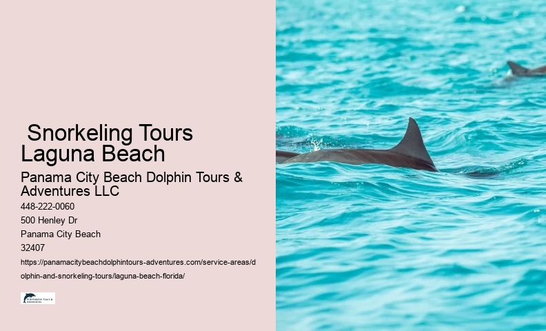 What month is best for dolphin watching