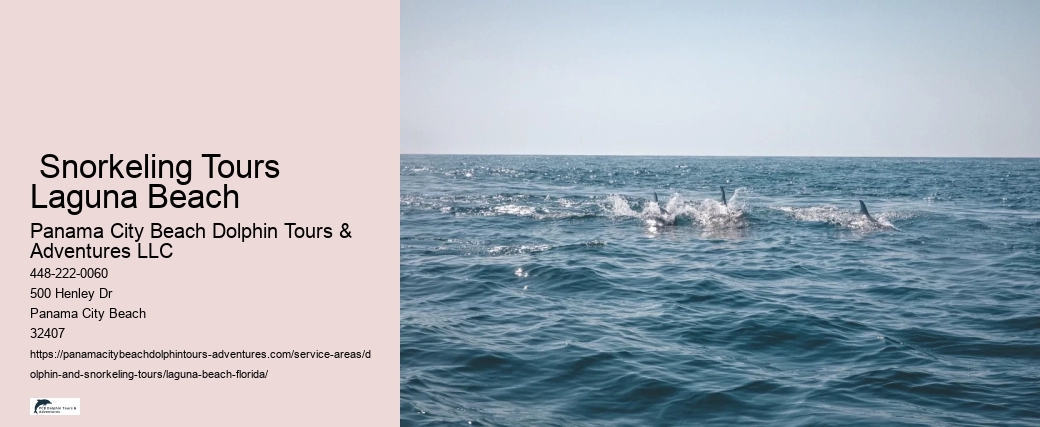 Dolphin Cruise Near Me Prices
