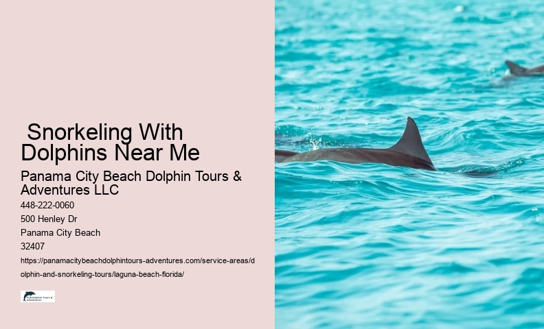 Snorkeling Experience