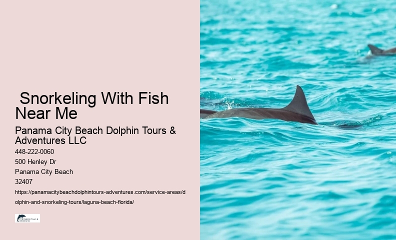 Dolphin & Wildlife Adventure Cruise