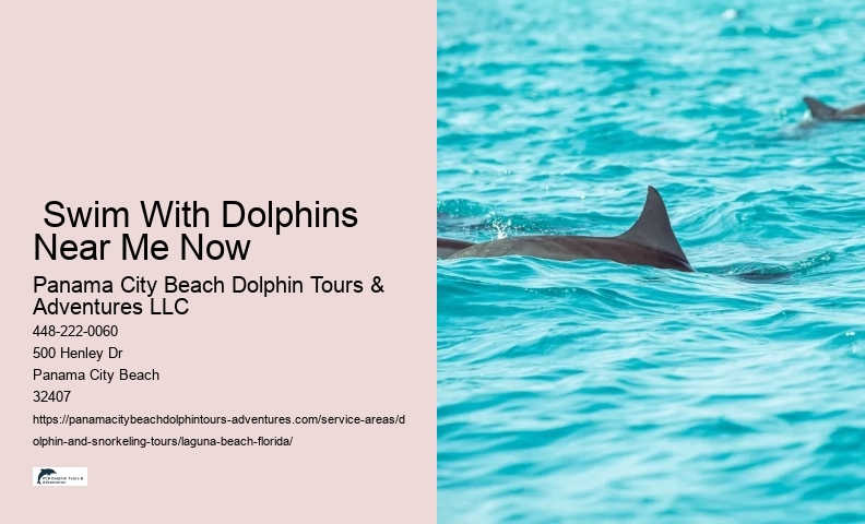 Swim With Dolphins