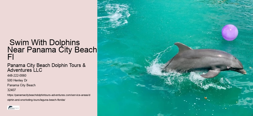 Best Beach In Laguna For Snorkeling