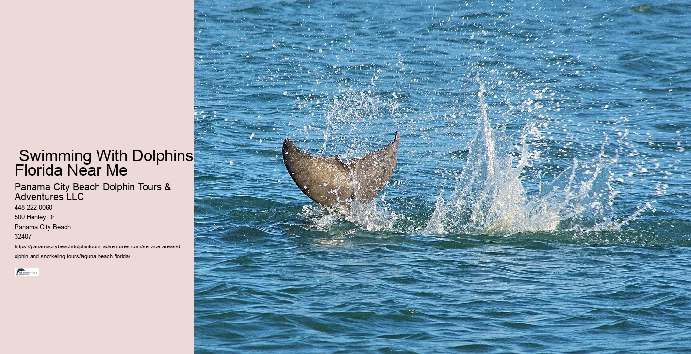 Florida Dolphin Tours