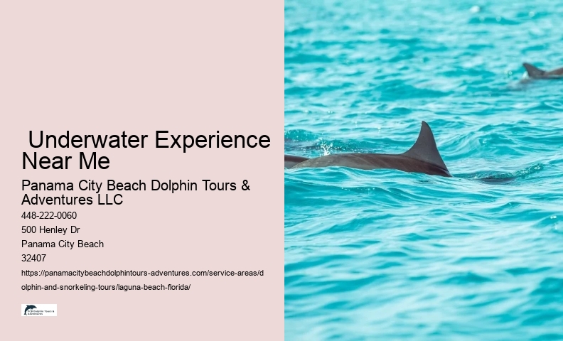 And Snorkeling Tours Laguna