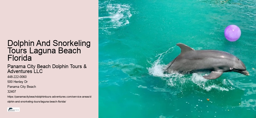 Can you touch dolphins in Florida