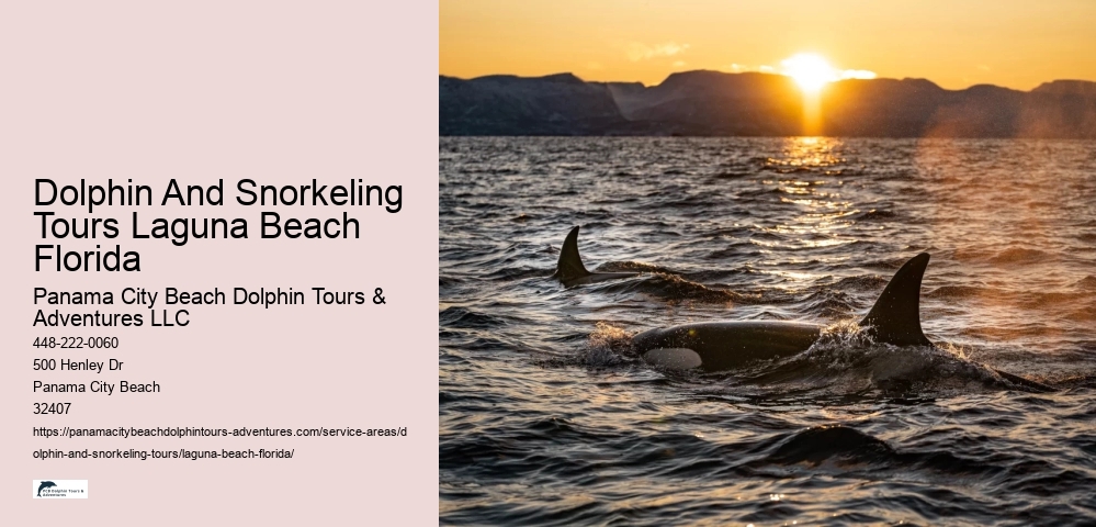 Snorkeling Vip Tours